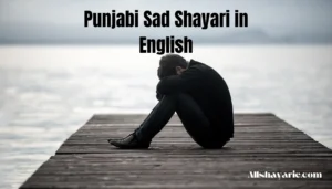 punjabi sad shayari in english