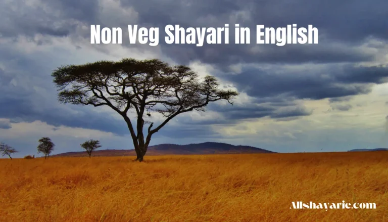 non veg shayari in english