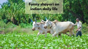 funny shayari on indian daily life