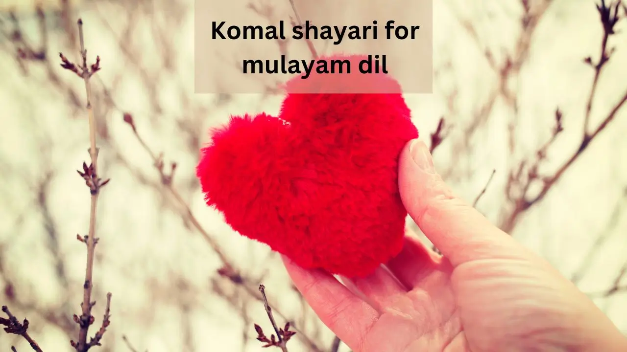 komal shayari for mulayam dil