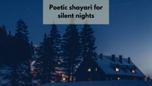 poetic shayari for silent nights